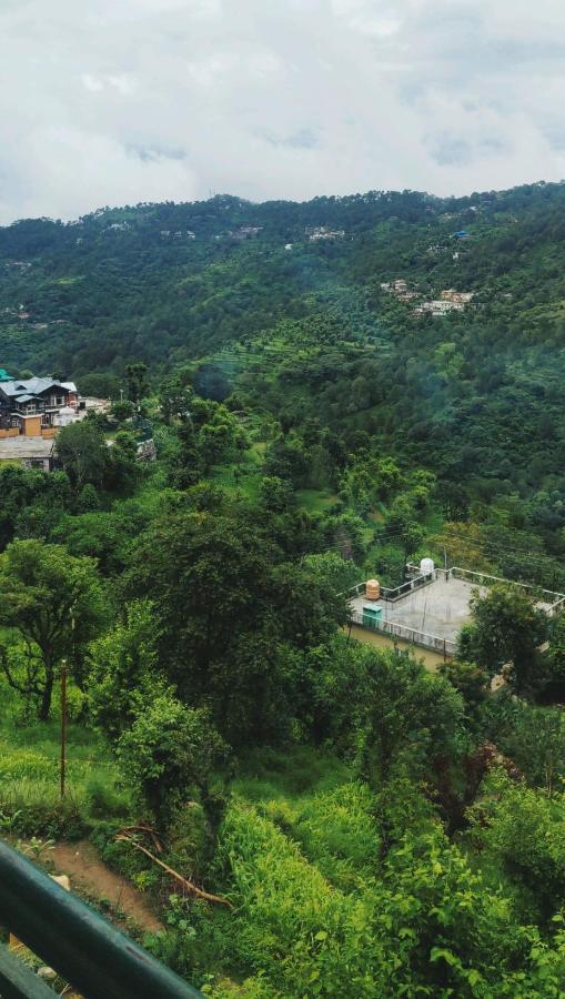 Nature View Villa Kasauli Exteriör bild